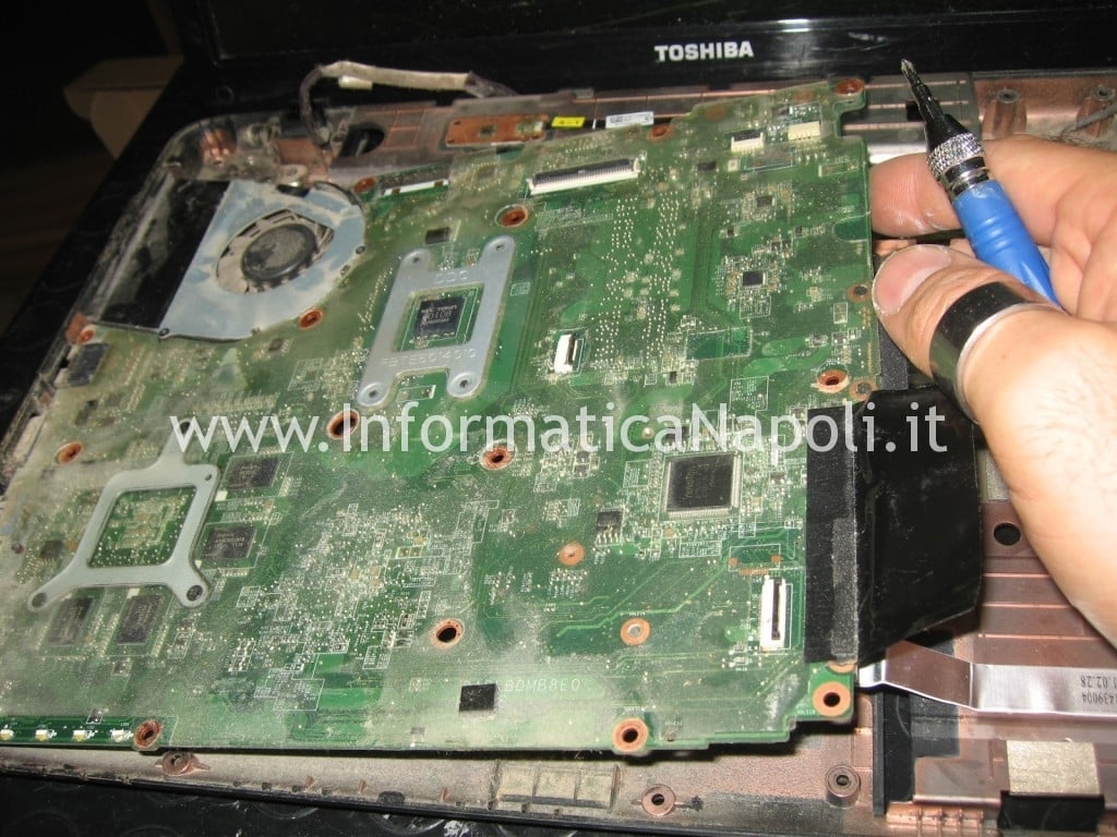 problema chip video Toshiba Satellite L700 L755 PSK2YE 12N napoli