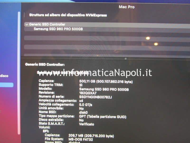installazione upgrade SSD standard NVMe su Mac Pro cilindro 2013 | assistenza Apple installazione upgrade SSD standard NVMe su Mac Pro cilindro 2013 | assistenza Apple